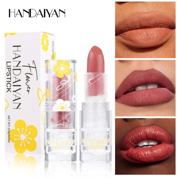 Handaiyan 12 Color Matte Lipstick Waterproof and